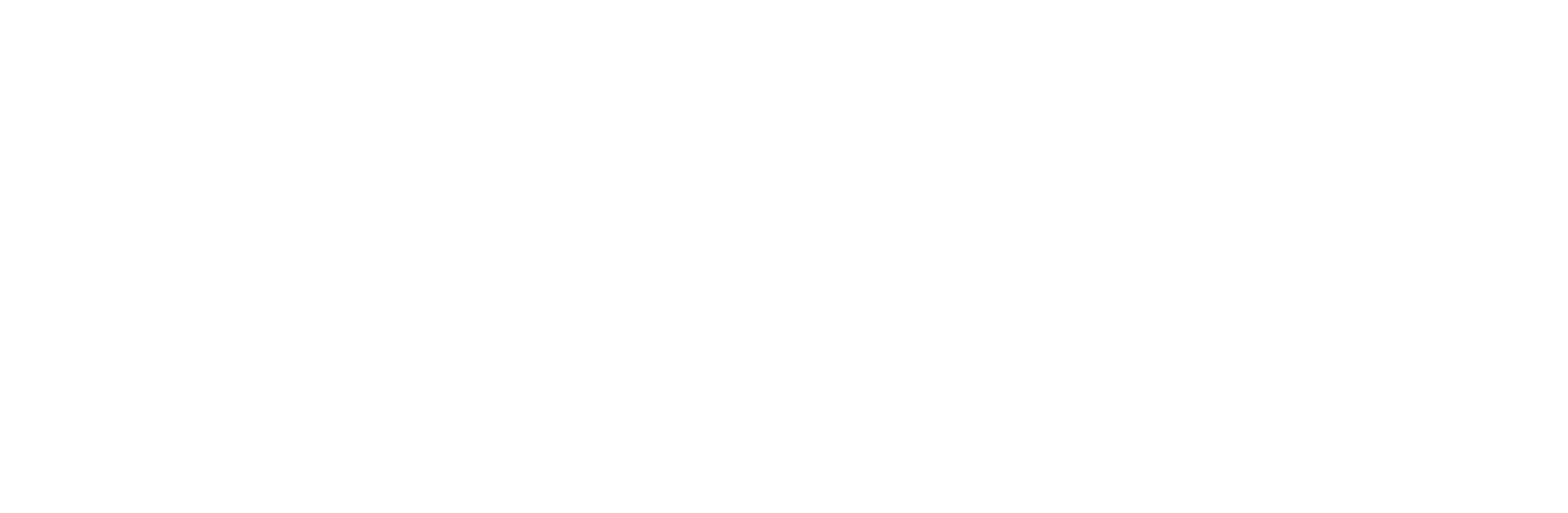 Sacleaningae